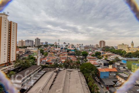 Image 7 - 915856