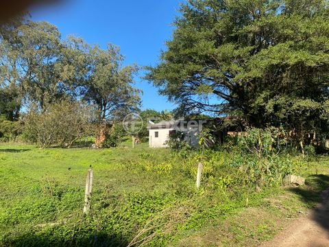 Image 3 - 915954
