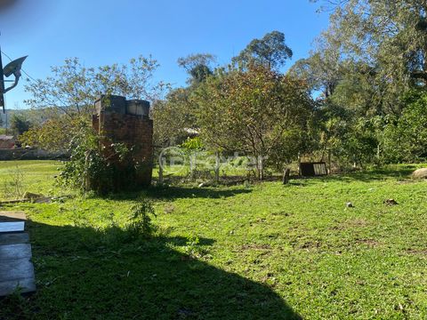 Image 10 - 915954