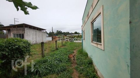 Image 11 - 916099