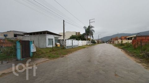 Image 8 - 916099