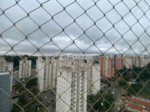 Image 7 - 916251