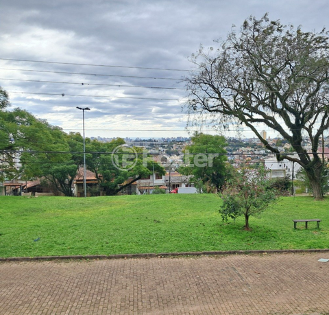 Image 11 - 916261