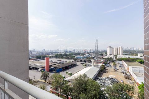 Image 17 - 916262