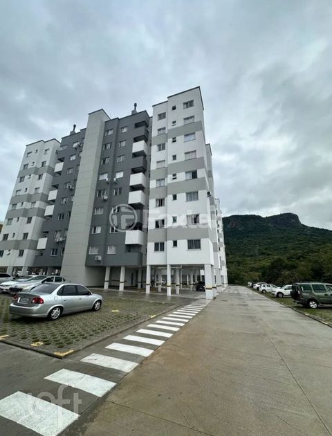 Image 8 - 916451