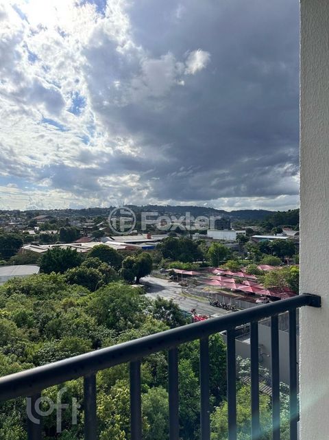 Image 3 - 916492