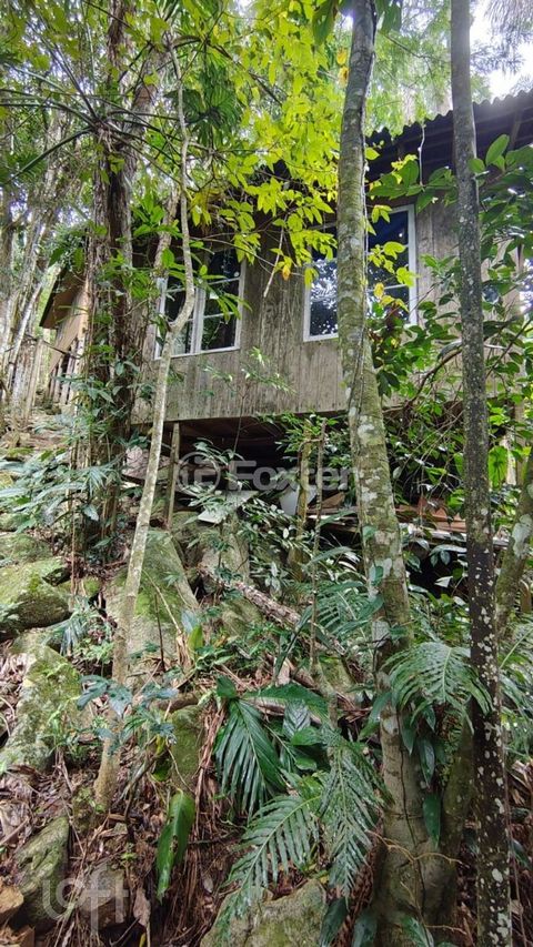 Image 10 - 916503