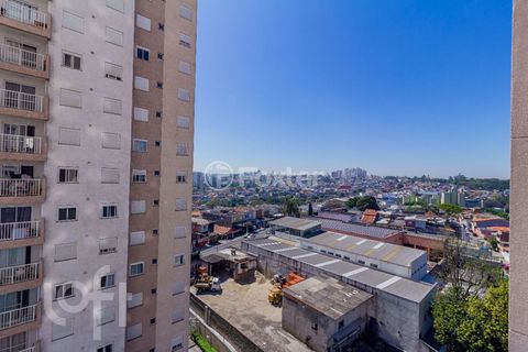 Image 3 - 916576
