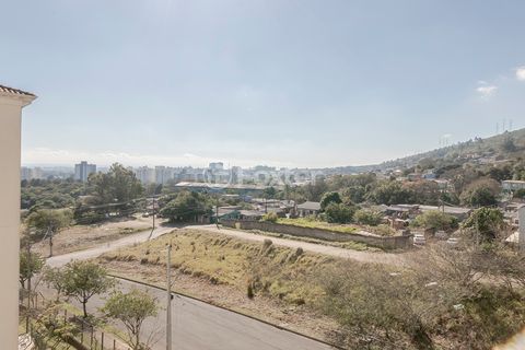 Image 6 - 916608