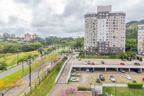 Image 6 - 916736
