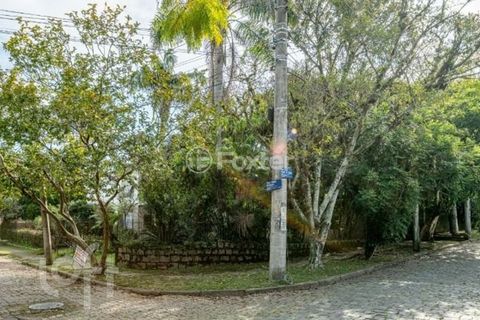 Image 17 - 916790