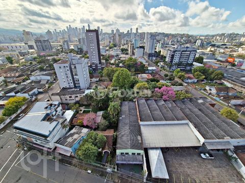 Image 3 - 916873