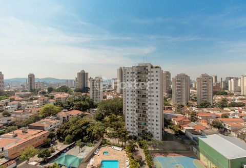 Image 5 - 916888