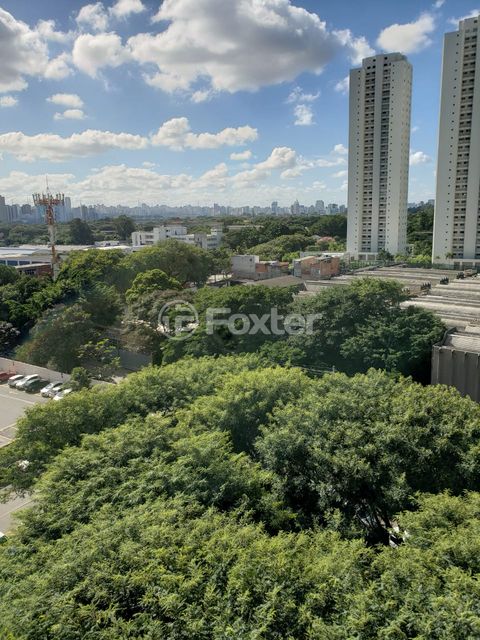 Image 19 - 916916