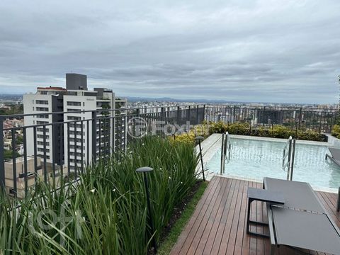 Image 13 - 916921
