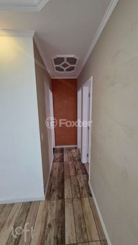 Image 7 - 916944