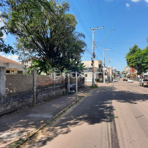 Image 3 - 917069