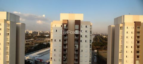 Image 14 - 917134