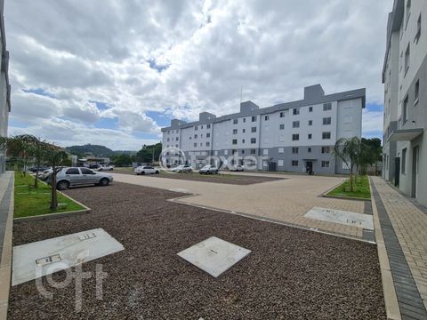 Image 4 - 917242