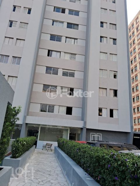 Image 3 - 917294