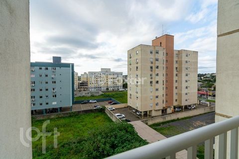 Image 14 - 917316
