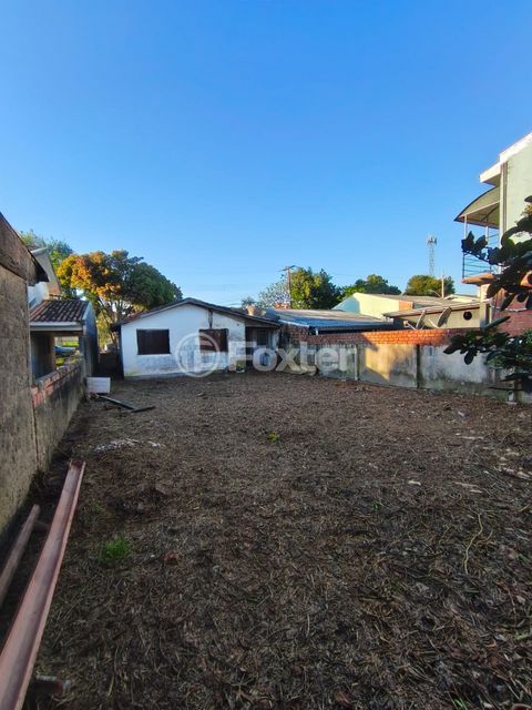 Image 7 - 917532