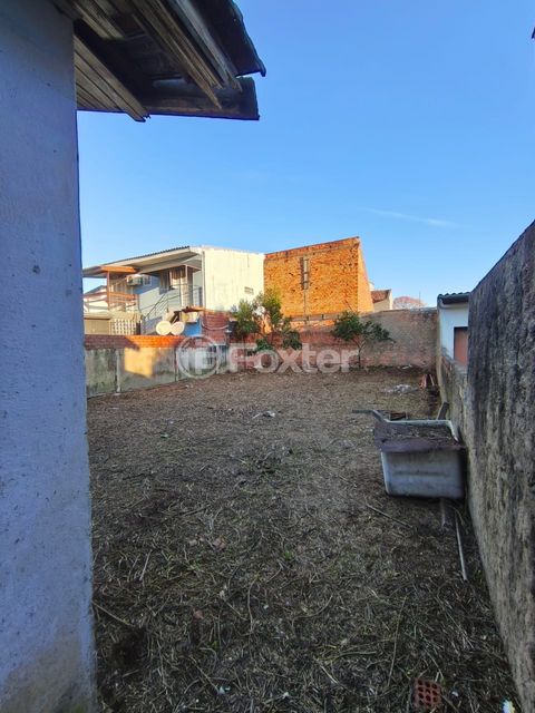 Image 4 - 917532