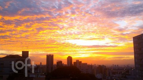 Image 16 - 917560