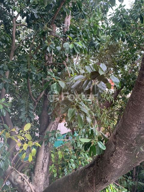 Image 6 - 917643
