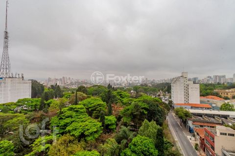 Image 8 - 917763