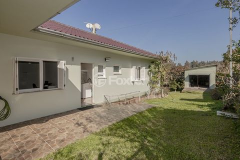 Image 11 - 917794