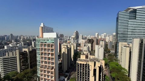 Image 8 - 917799
