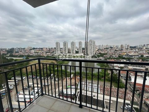 Image 13 - 917834