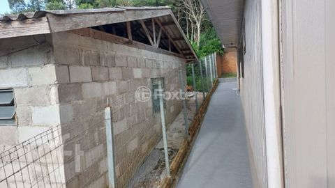 Image 16 - 917916
