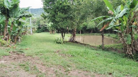 Image 15 - 918006