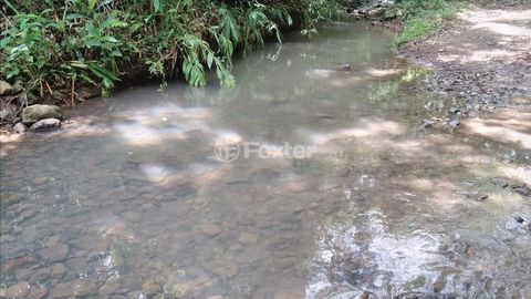 Image 8 - 918006