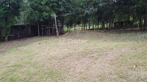 Image 17 - 918006