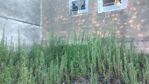 Image 8 - 918102