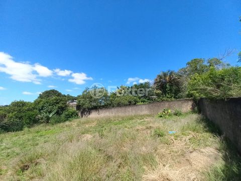 Image 10 - 918172