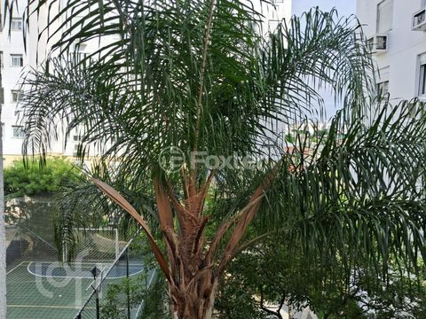 Image 11 - 918215