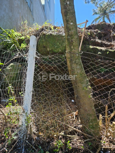 Image 6 - 918218