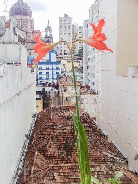 Image 7 - 918221