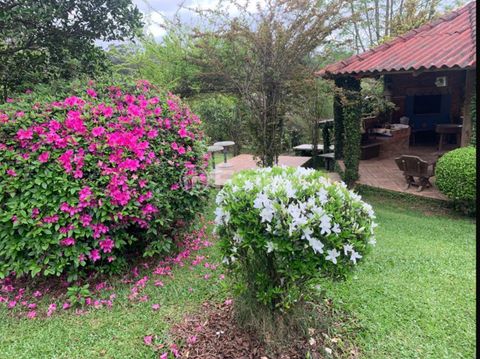Image 5 - 918249