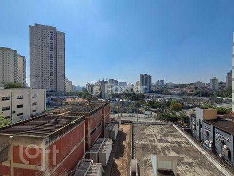 Image 11 - 918472