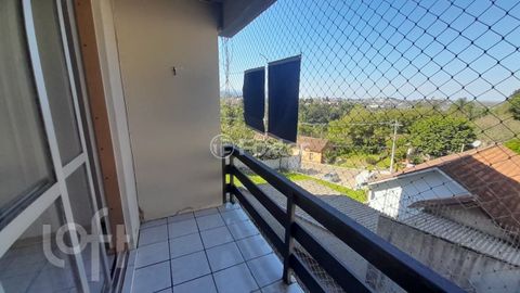 Image 6 - 918492
