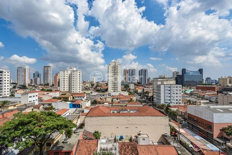 Image 8 - 918599