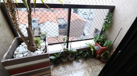 Image 8 - 918719