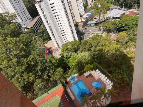 Image 5 - 919029