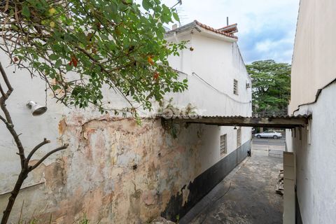 Image 12 - 919049