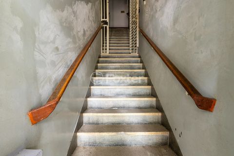 Image 15 - 919049